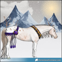 Horse Color:Bay Tobiano Appaloosa