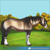Horse Color:Brown Onyx