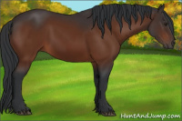 Horse Color:Brown 