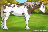 Horse Color:Chocolate Palomino Splash Frame Appaloosa 