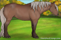 Horse Color:Silver Brown 