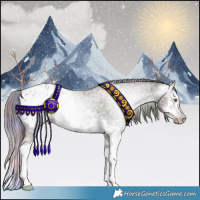 Horse Color:Gray Nacre Classic Champagne Ice Splash Appaloosa