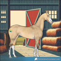 Horse Color:White Spotted Buckskin Dun 
