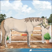 Horse Color:Smoky Creme Dun