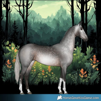 Horse Color:Gray Silver Black Tobiano Rabicano 
