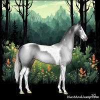 Horse Color:Gray Silver Brown Splash Tobiano Rabicano 