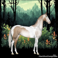 Horse Color:Gray Silver Smoky Black Pearl Sabino Tobiano Rabicano 
