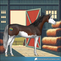 Horse Color:Brown Splash 