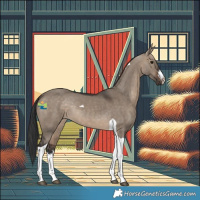 Horse Color:White Spotted Brown Dun Tobiano
