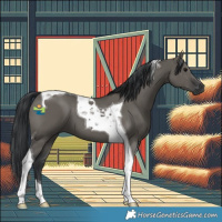 Horse Color:Grullo Tobiano