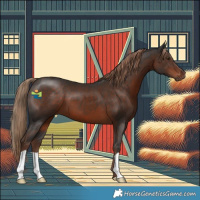 Horse Color:Liver Chestnut 