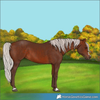 Horse Color:Silver Bay 