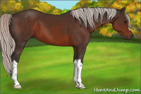 Horse Color:Silver Brown 