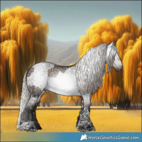 Horse Color:Gray Silver Buckskin Tobiano Frame  and Gray Silver Blue Roan Tobiano