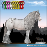Horse Color:Brown Sabino Splash Varnish  and Brown Sabino Splash Varnish 