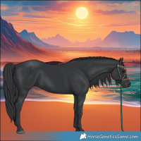 Horse Color:Black Rabicano 