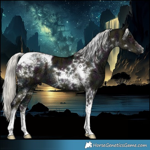 Horse Color:White Spotted Midnight Liver Red Dun Ice Mushroom Tobiano Brindle 