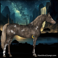 Horse Color:White Spotted Liver Red Dun Ice 