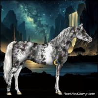 Horse Color:White Spotted Midnight Liver Red Dun Ice Mushroom Brindle 