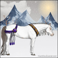 Horse Color:White Spotted Bay Appaloosa Rabicano 