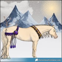 Horse Color:Gold Cream Champagne Dun 