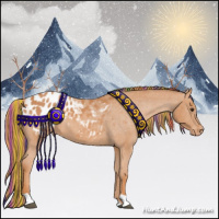 Horse Color:Painted Chestnut Appaloosa 