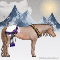 Horse Color:Chestnut Appaloosa 