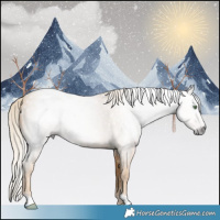 Horse Color:Gray Gold Cream Champagne Roan Rabicano 