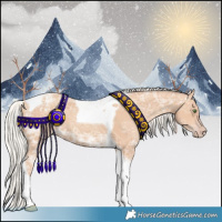 Horse Color:Silver Classic Champagne Ice Tobiano 