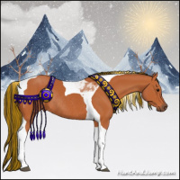 Horse Color:Painted Bay Tobiano Rabicano 