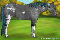 Horse Color:Painted White Spotted Midnight Bay Chinchilla Tobiano 