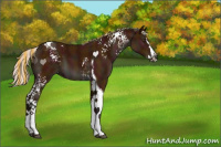 Horse Color:Painted White Spotted Midnight Silver Bay Splash Tobiano