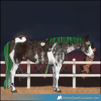 Horse Color:Painted White Spotted Midnight Bay Splash Tobiano 