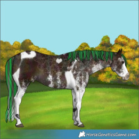 Horse Color:Painted White Spotted Midnight Bay Splash Tobiano 