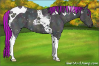 Horse Color:Painted Midnight Bay Chinchilla Dun Tobiano 