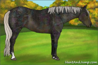 Horse Color:Midnight Silver Smoky Black Ice Sabino 