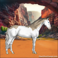 Horse Color:Silver Smoky Grullo Roan Splash 