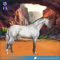 Horse Color:Silver Blue Roan 