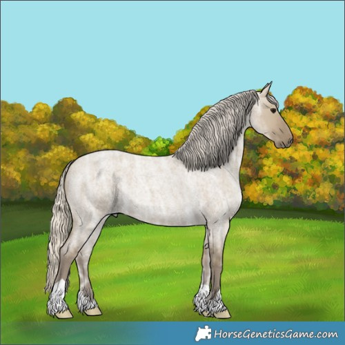 Horse Color:Silver Smoky Grullo Ice Roan 