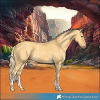 Horse Color:Palomino Ice 