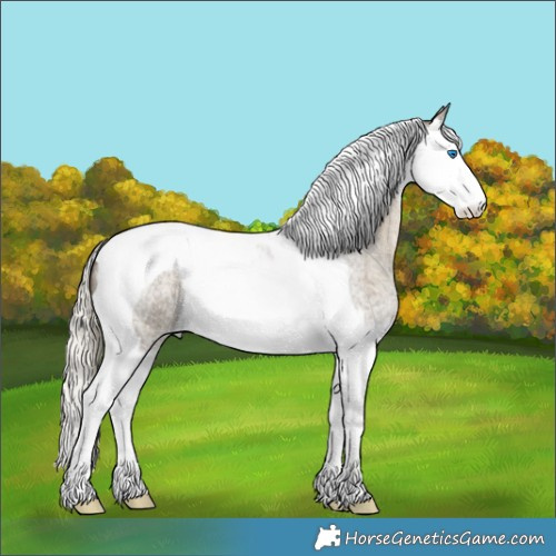 Horse Color:Silver Smoky Grullo Roan Splash Tobiano 