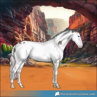 Horse Color:Silver Smoky Black Ice Splash Tobiano 