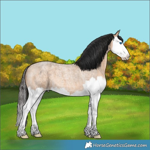 Horse Color:Bay Roan Dun Splash 
