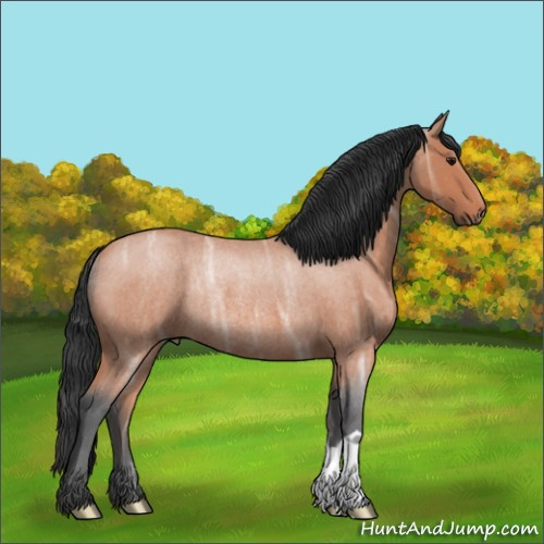 Horse Color:Bay Ice Roan Rabicano 