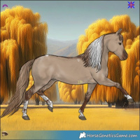 Horse Color:Liver Red Dun Tobiano 
