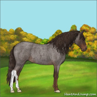 Horse Color:Liver Red Roan 