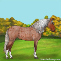Horse Color:Silver Bay Roan Tobiano 