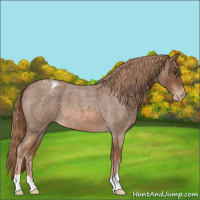 Horse Color:Red Roan Varnish 