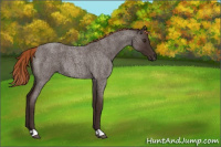 Horse Color:Liver Red Roan 