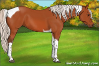 Horse Color:Silver Bay Tobiano 